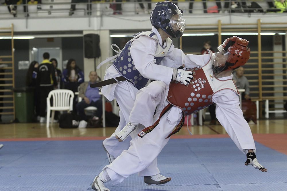 IV Open de Ibiza de taekwondo