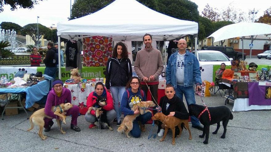 Voluntarios junto a algunos de los perros acogidos.