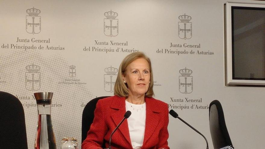 El PP advierte de que el Estado de bienestar en Asturias "se tambalea" y exige un cambio de Gobierno