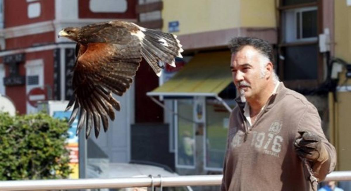 LAS PALMAS PALOMAS