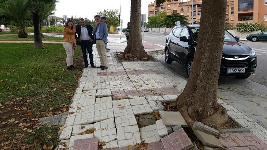 El concejal de Medio Ambiente, César Carrasco, y el alcalde de Torremolinos, José Ortiz, observan los daños causados por un ejemplar en la acera.