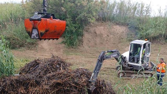 Labores de mantenimiento en la Demarcación del Segura.