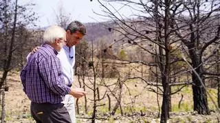 Mazón eleva la presión con la sanidad y la movilidad: límite a las listas de espera y apuesta por el tranvía