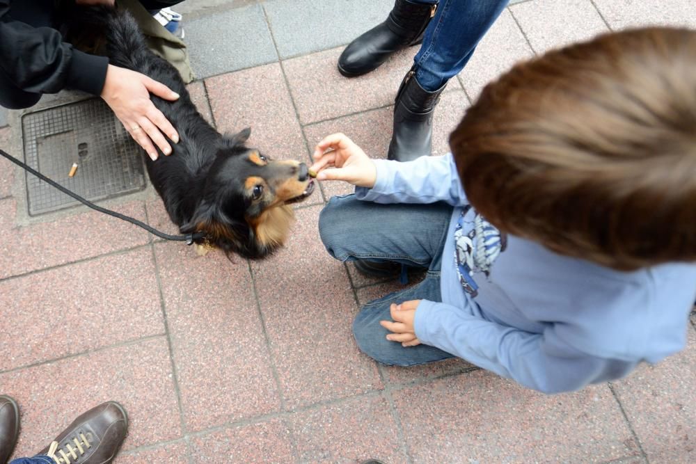 Josín entrega su perro "Trasgu" a Antonia Morales