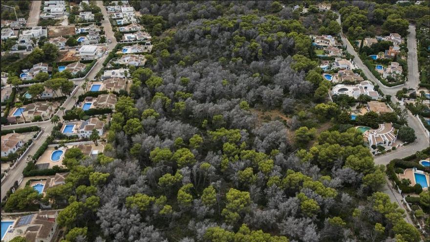 El riesgo forestal toca a la puerta de los chalés en Xàbia