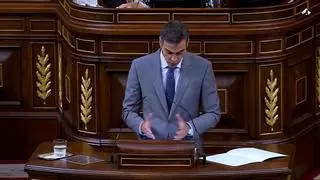 Sánchez: "Olviden por un momento el cálculo político y piensen en la gente de a pie que necesita del amparo de lo público"