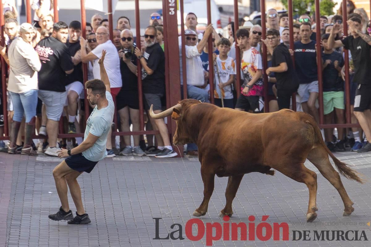 Tercer encierro de las Fiestas de Moratalla