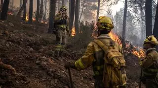 Los trabajadores de incendios forestales, en contra de que se archiven las denuncias por el incendio de la Culebra