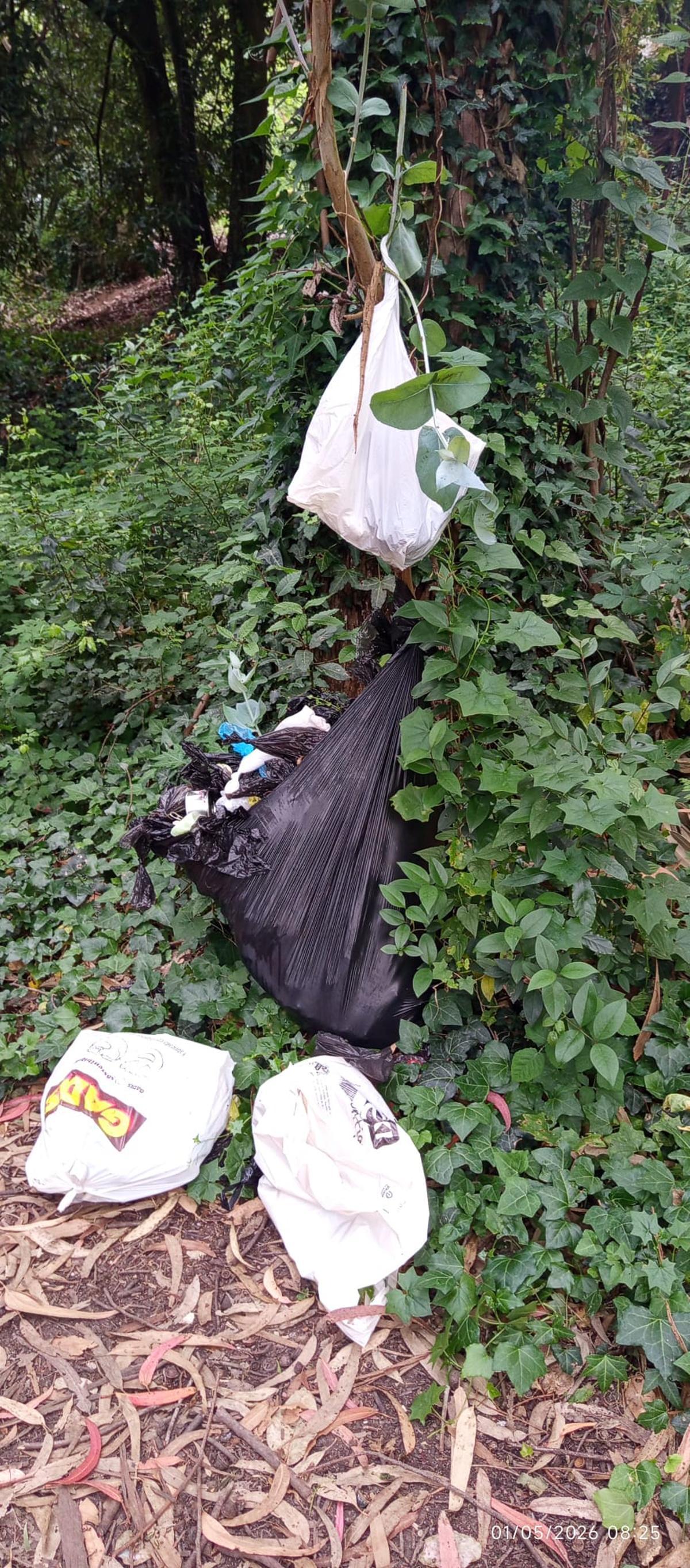 Basura acumulada en O Castriño.