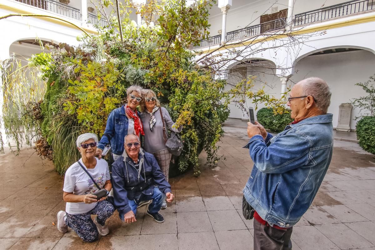 Las más bellas flores