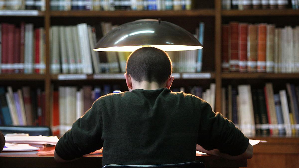 Un estudiante universitario, en la biblioteca de su facultad