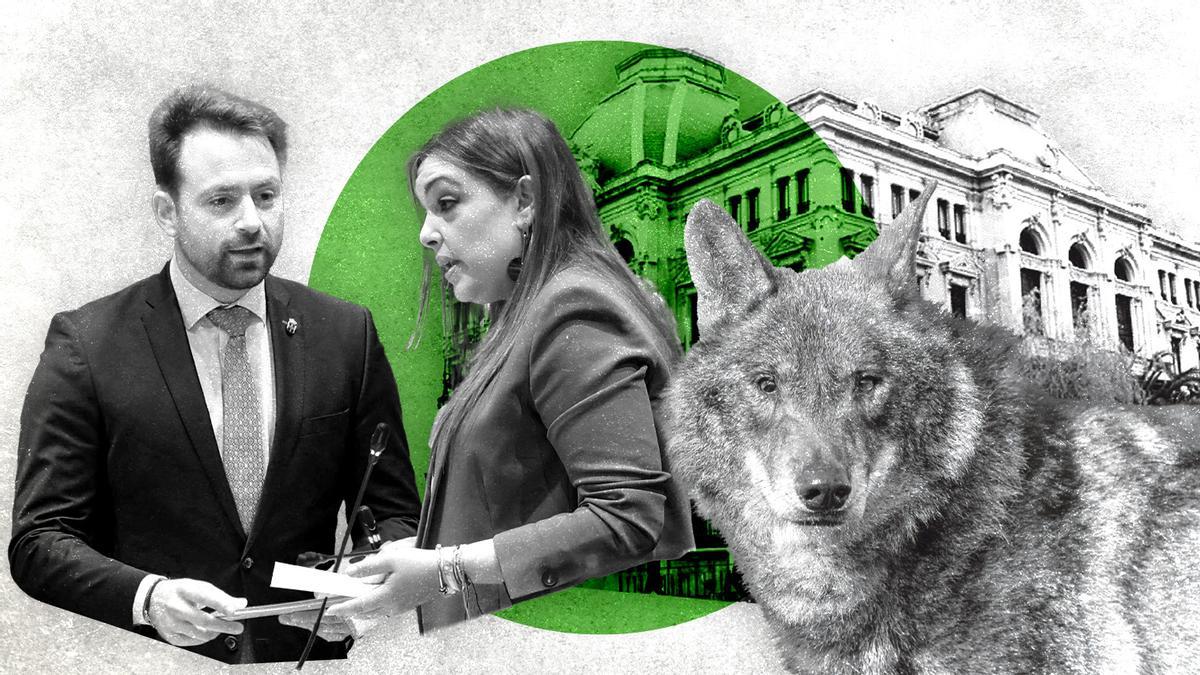 Álvaro Queipo y Carolipan López. Lucha en la derecha asturiana por ganarse al sector ganadero tras la desprotección del lobo