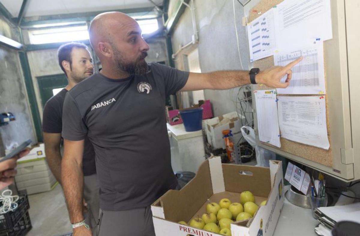 La osa «Paca», entre abundante vegetación, en el cercado osero de los Valles del Trubia. | Miki López