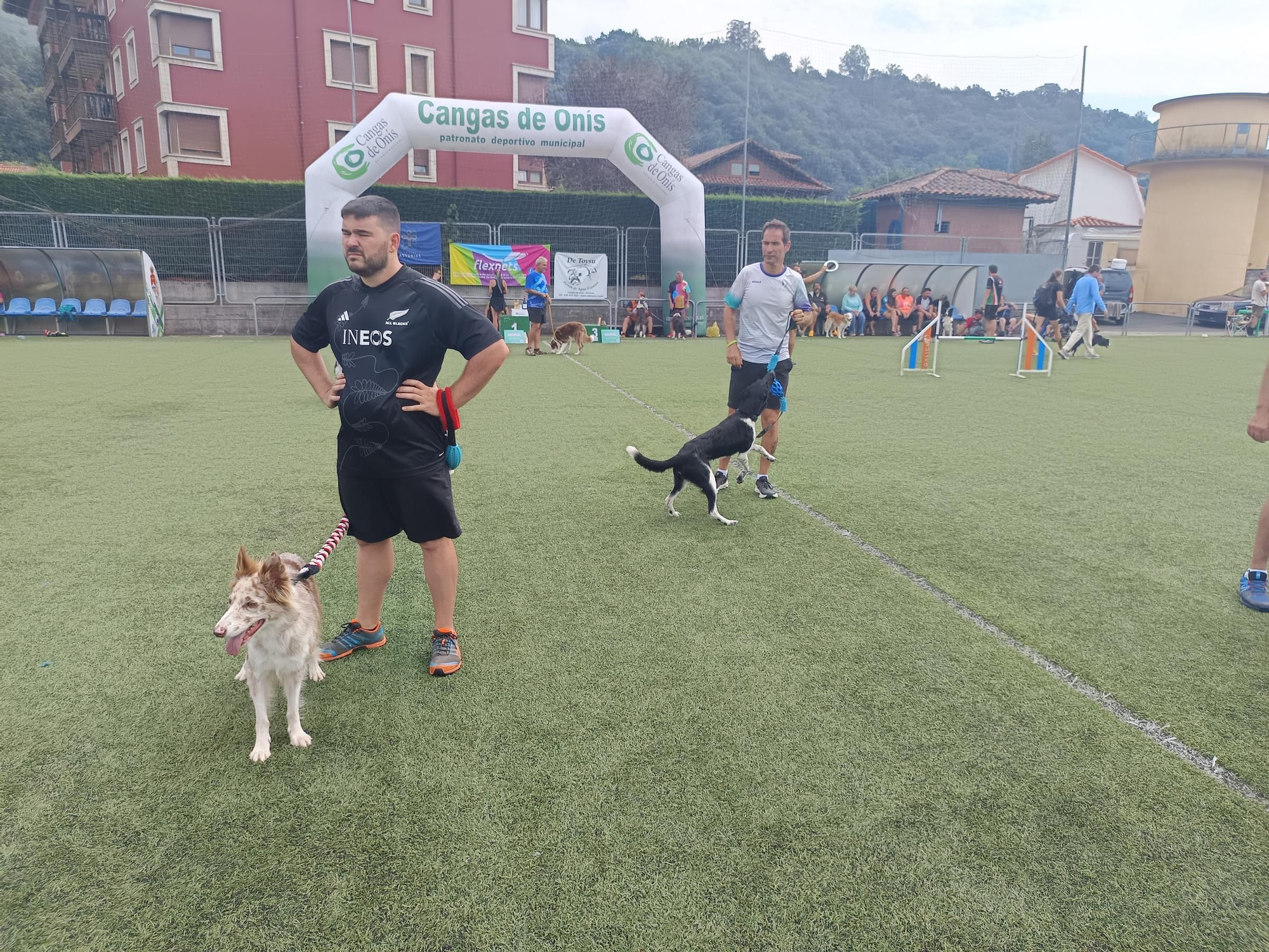 Rotundo éxito del VI Trofeo Agility "Ciudad de Cangas de Onís"