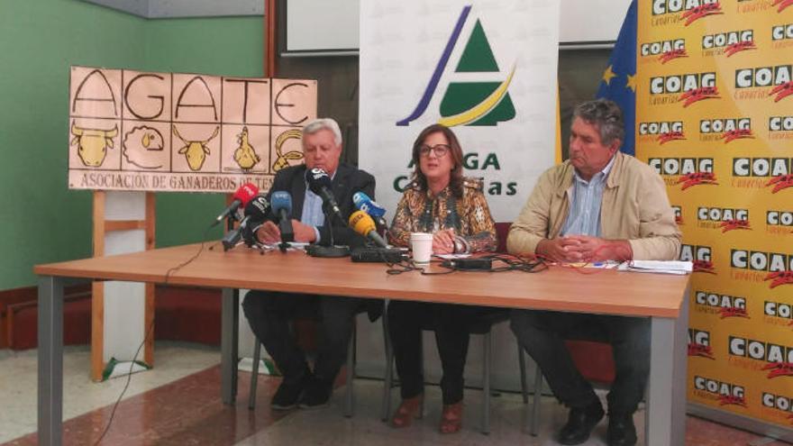 Manuel Expósito, Ángela Delgado y Miguel López durante la rueda de prensa.