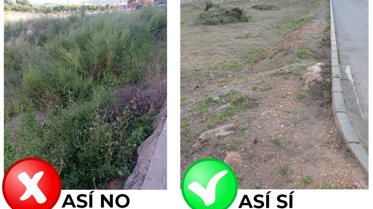 Montaje realizado por el Ayuntamiento sobre cómo deben cuidare los solares.