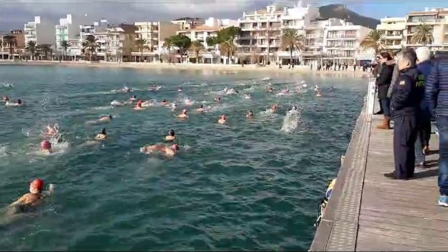 La Copa des Reis ha reunido a un centenar de nadadores en el Port de Pollença