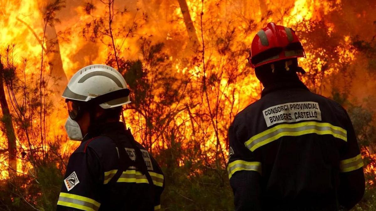 Unos bomberos, ante un fiuego forestal