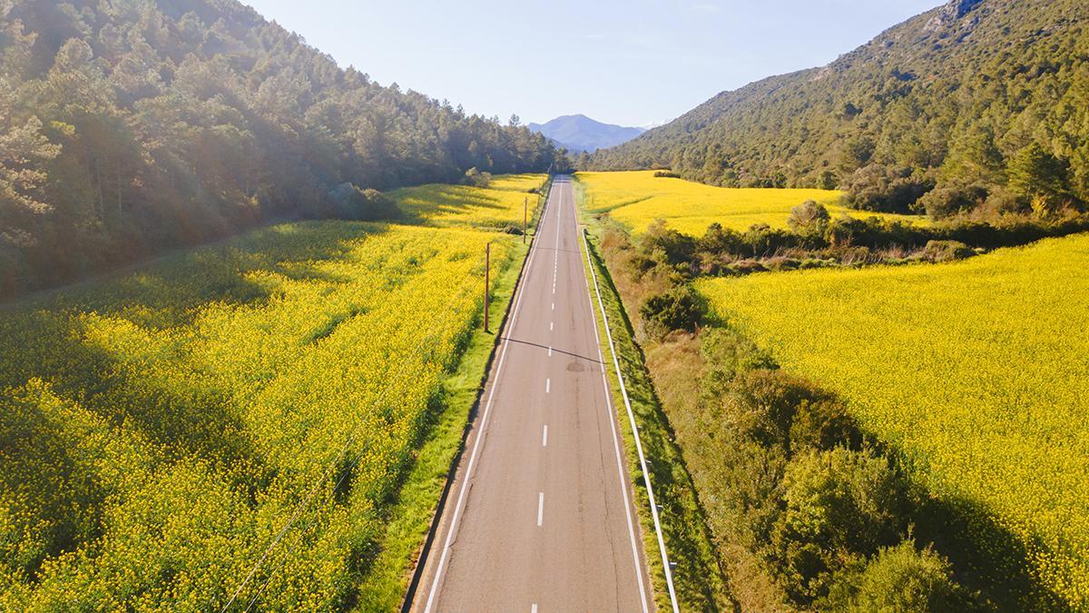 Carreteras entre campos y paisaje del Alt Empordà.