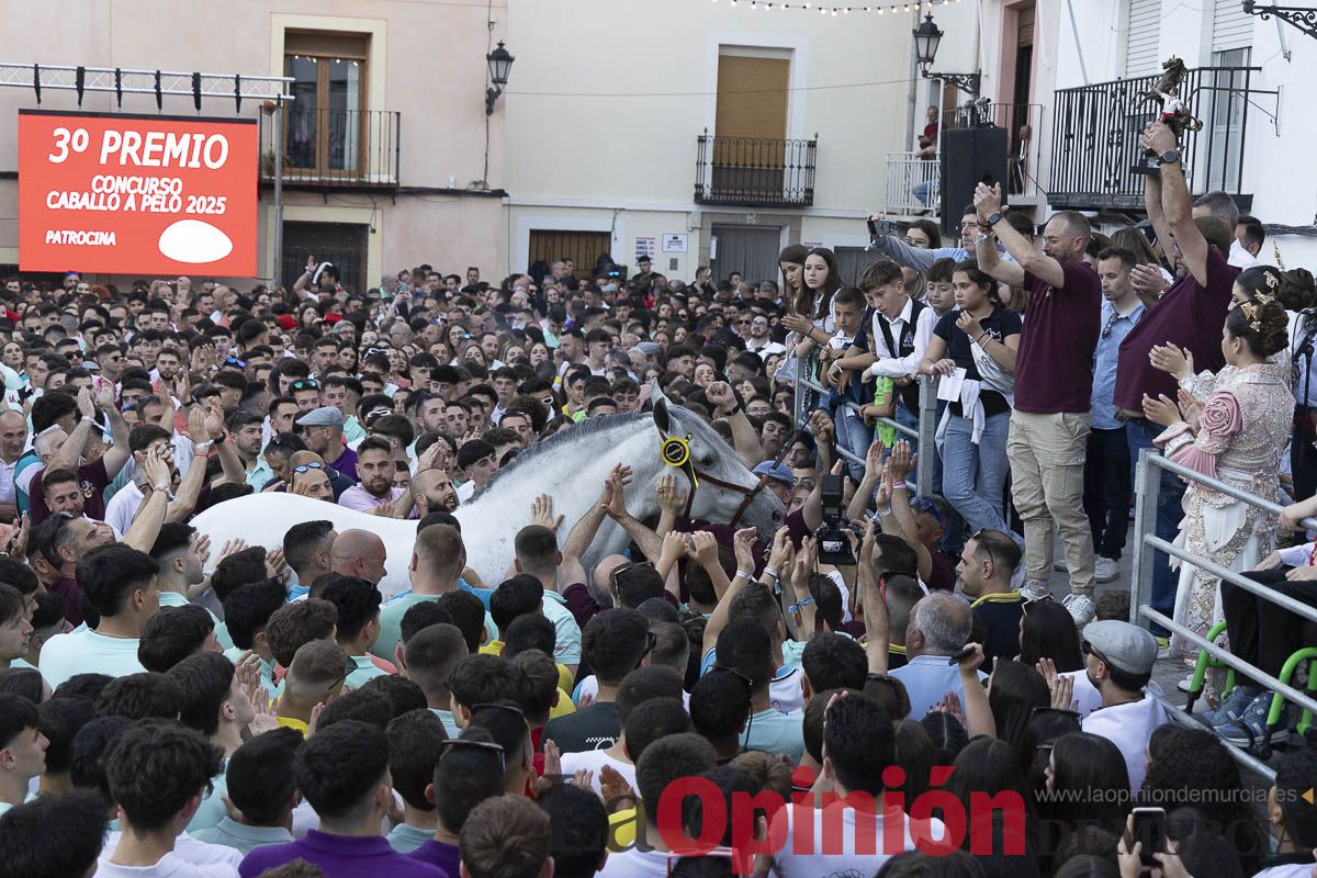 Fiestas de Caravaca | Entrega de premios del concurso morfológico