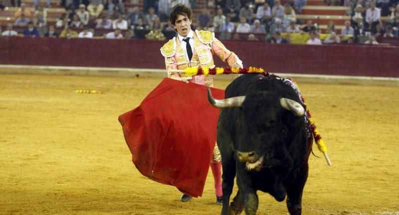 Novillada en la plaza de Toros