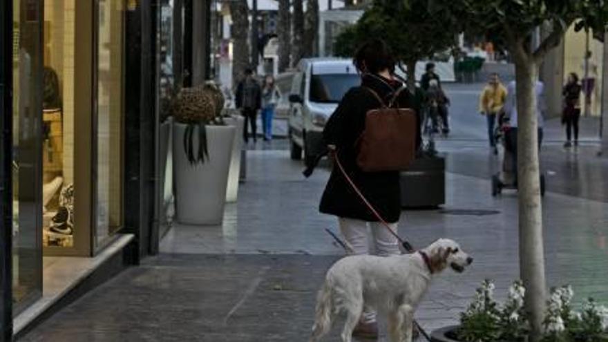 El tripartito redobla la presión para combatir las &quot;cacas&quot; de perro en la calle