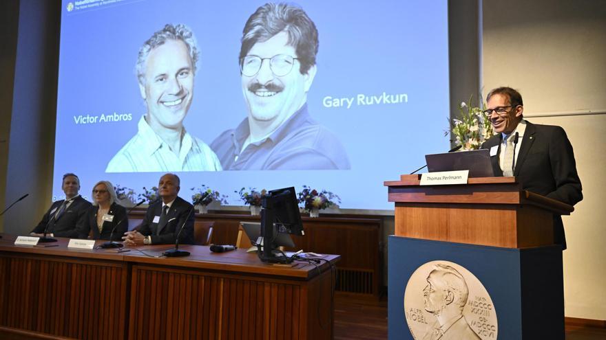 El Nobel de Medicina premia el microARN, el secreto para entender la actividad de nuestros genes y sus mutaciones