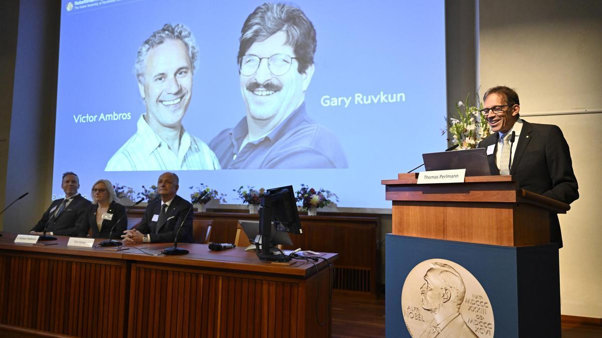 El presidente del Comité Nobel, Thomas Perlmann (derecha), anuncia a los estadounidenses Victor Ambros y Gary Ruvkun como ganadores del Nobel de Medicina