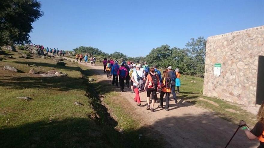 Un paseo por el Robledal