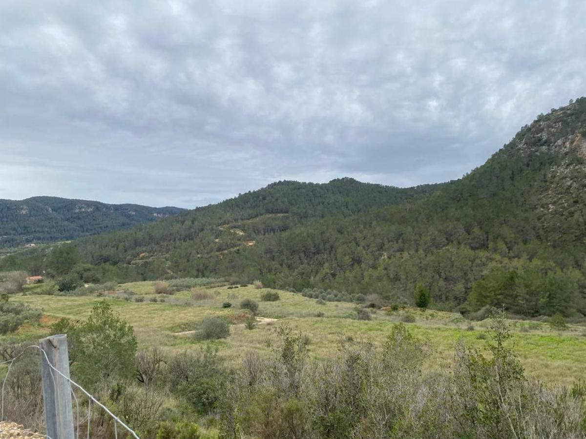 Estado actual de las parcelas donde se proyecta el camping de Quesa.