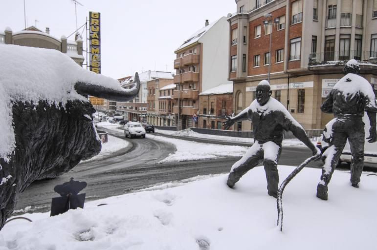 Así ha sido la nevada en Benavente.