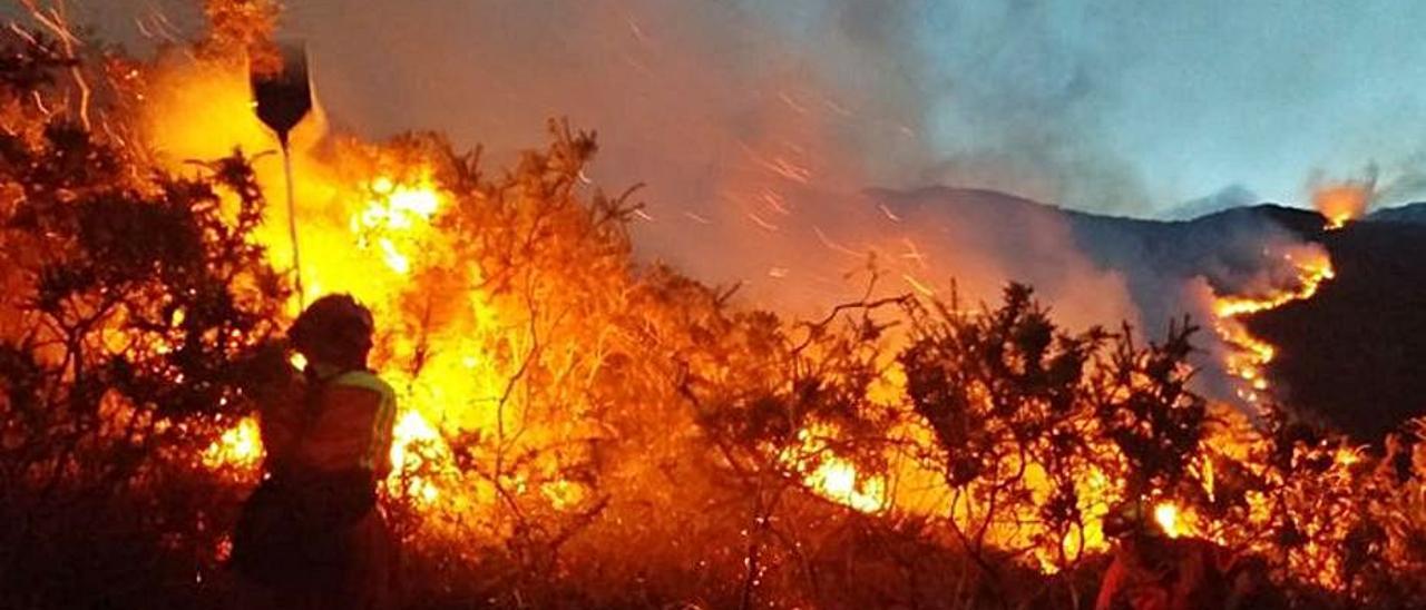 Bomberos de Asturias luchan contra las llamas en el oriente. | SEPA