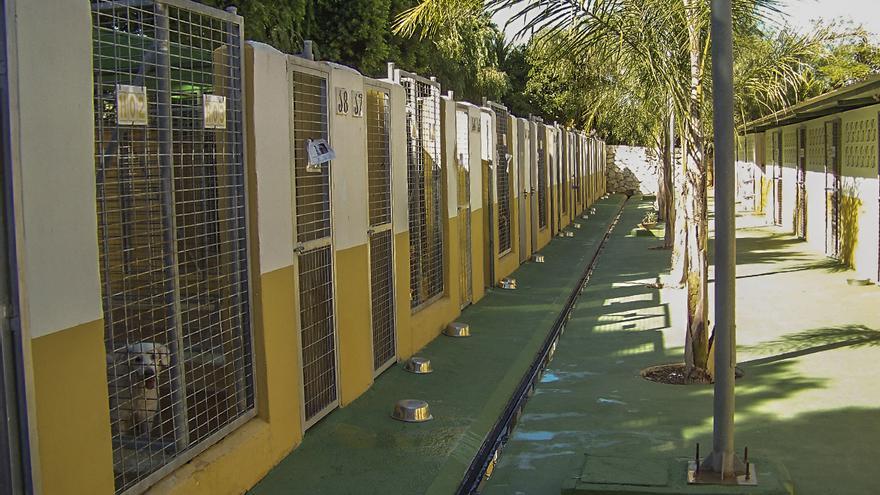 Retirados 40 perros de una finca en Estepona por su estado de abandono