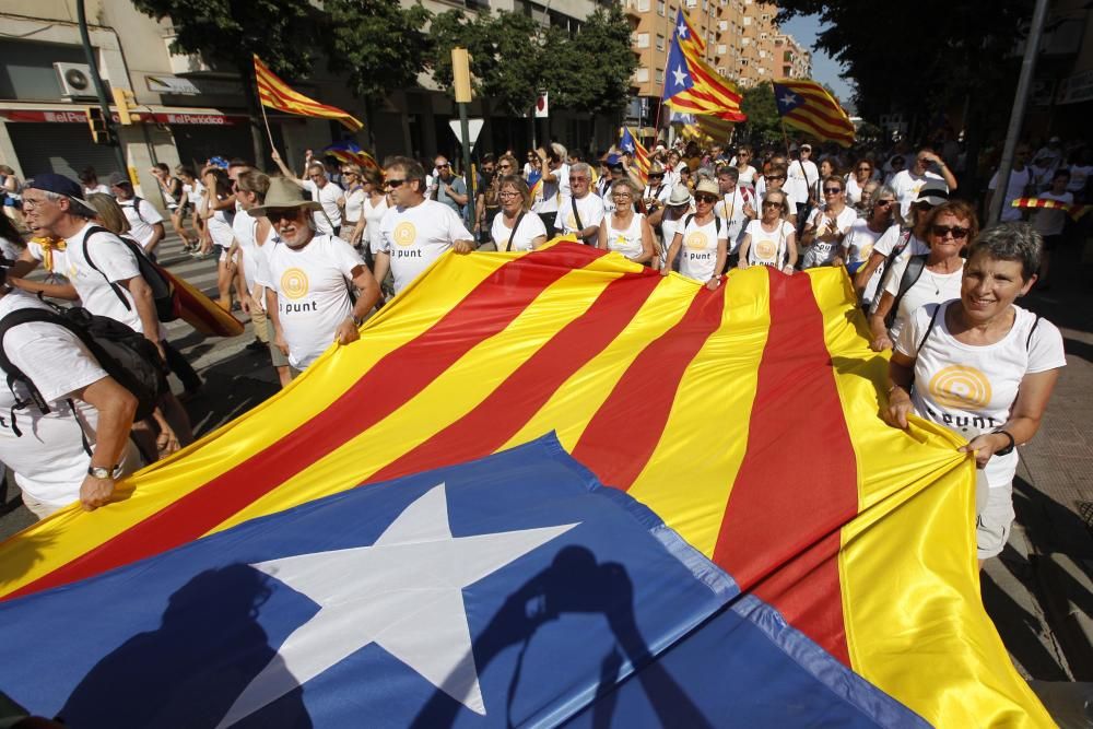 La Diada a Salt