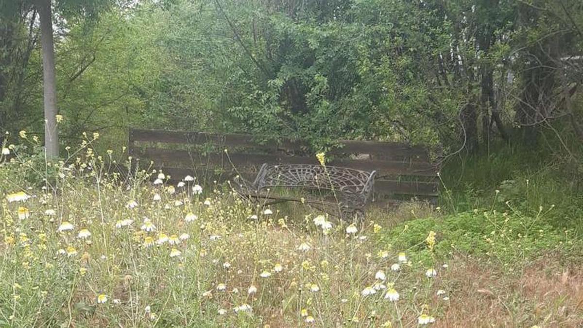 Hacemos Córdoba denuncia el abandono de la Cañada Real Soriana y exige al alcalde que cumpla sus compromisos con Villarrubia. En la foto, un banco rodeado de hierbas.