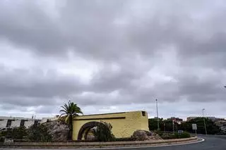 Todo lo que necesitas saber de la panza de burro, fiel compañera de Las Palmas de Gran Canaria en verano