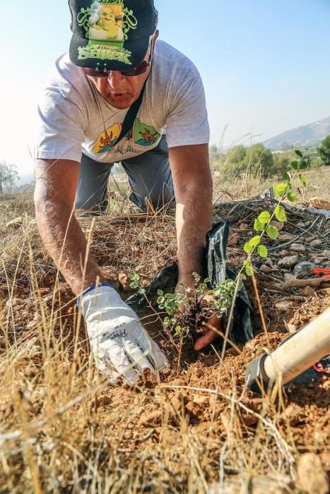 La Tercera Edad participa en la plantación de un centenar de árboles