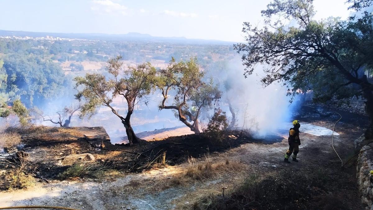 Medios antiincendios actúan en un incendio agrícola declarado en Son Colom (Mallorca).