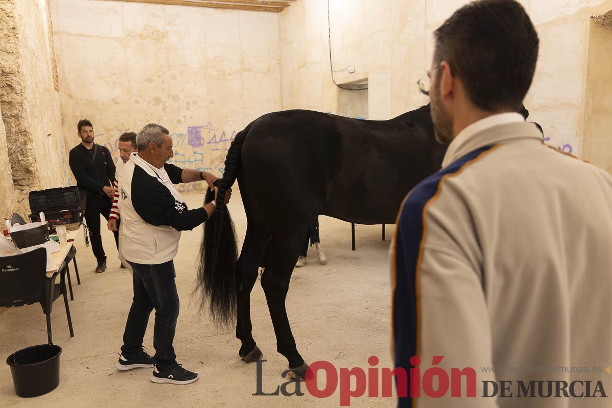 Caballos del vino/Vestir a un caballo_019