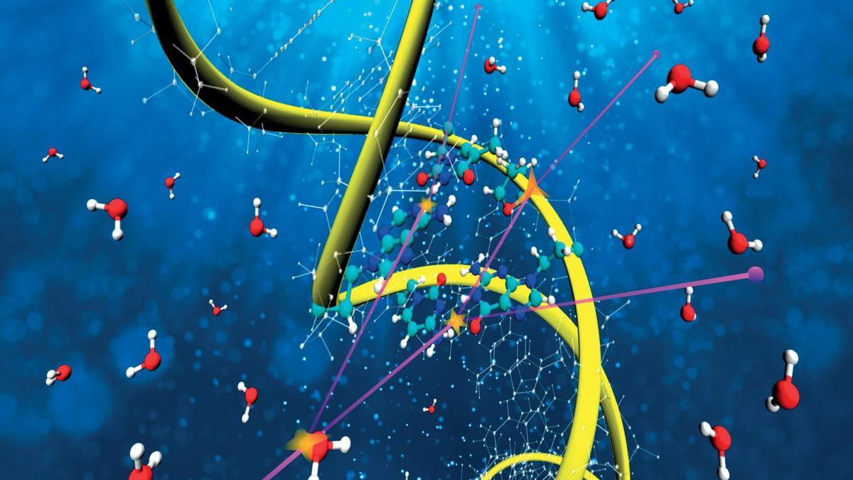 Representación artística de electrones energéticos (trayectorias magenta) interaccionando con los componentes moleculares del ADN y el agua circundante. Ilustración para la contraportada de Physical Chemistry Chemical Physics.