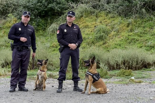 Reportaje a la Unidad Canina de la Policia ...