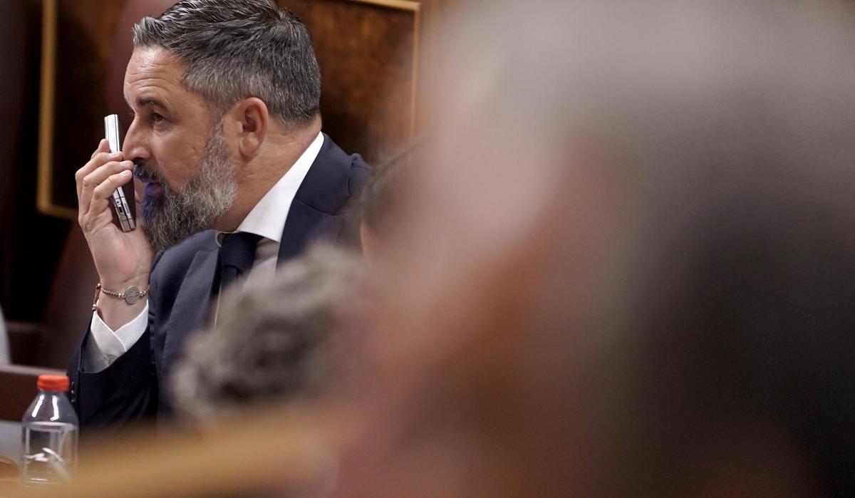 Santiago Abascal, Vox. Pedro Sánchez comparece en el Congreso de los Diputados.