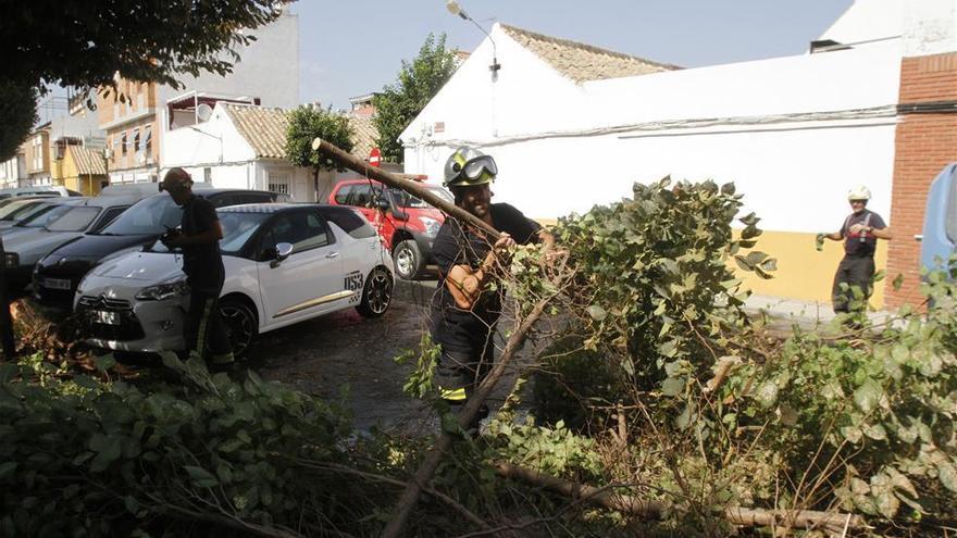 Los bomberos retiran un árbol caído sobre un coche en la calle de la Oficina