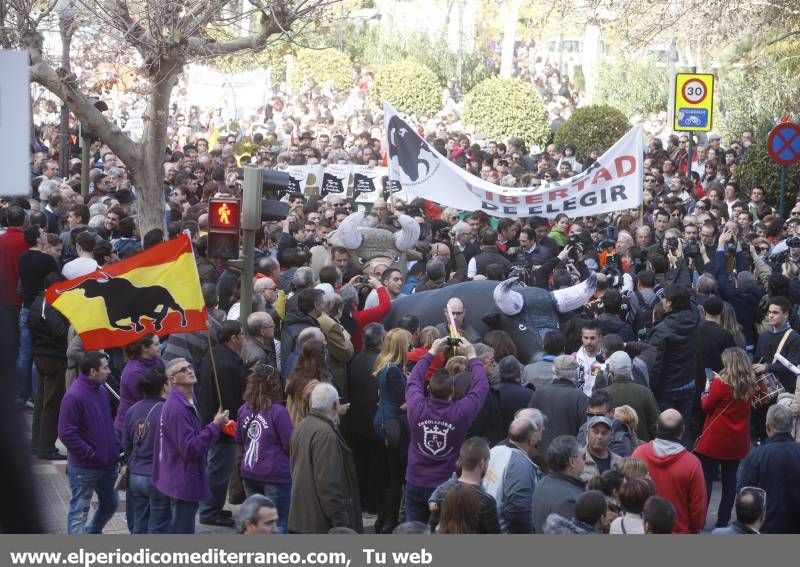 GALERÍA DE FOTOS -- Seguimiento de la manifestación protaurina -- Parte 2