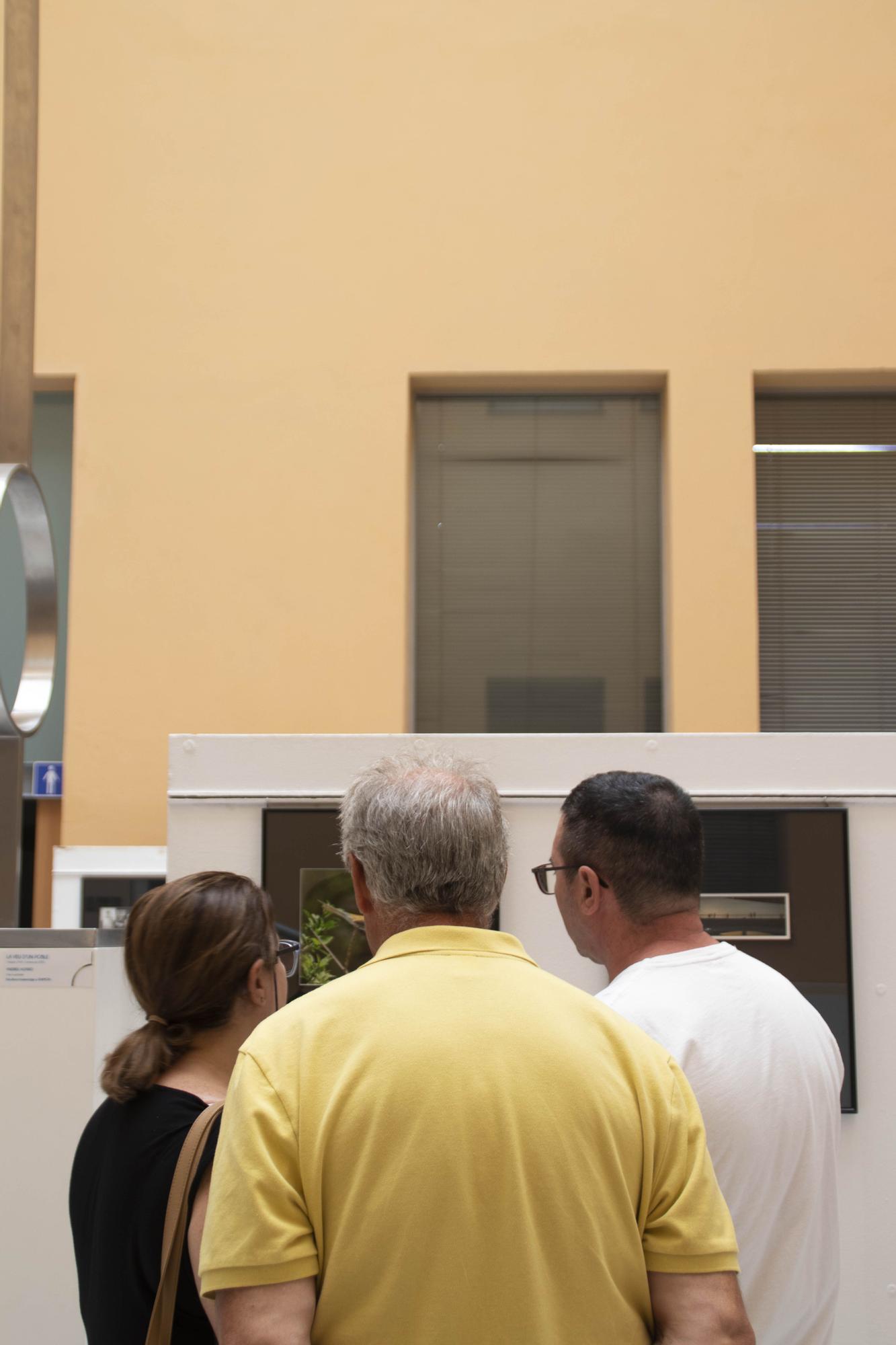 Inauguración de tres exposiciones en la Casa de la Cultura de Xàtiva