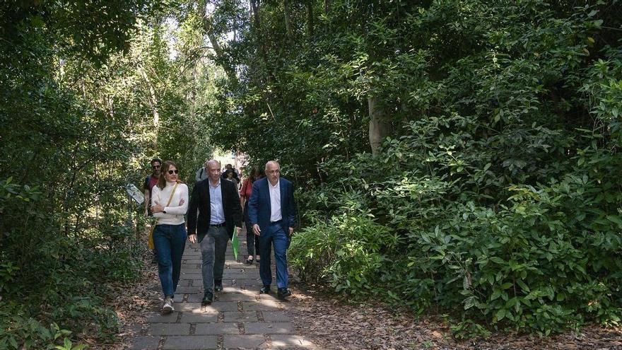 El proyecto Nextgendem, datos para la gestión científica de la flora endémica canaria