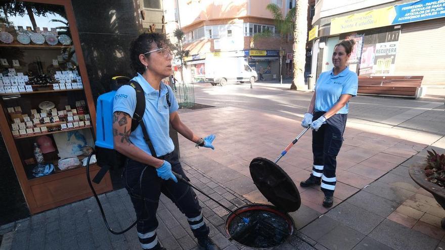 Desratización en la zona del Parque de Santa Catalina, en Las Palmas de Gran Canaria