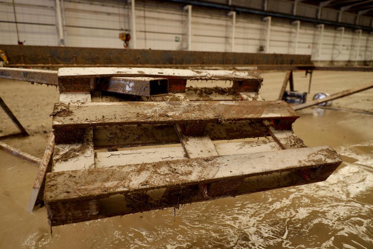 Así están las empresas de La Cartuja tras la tormenta