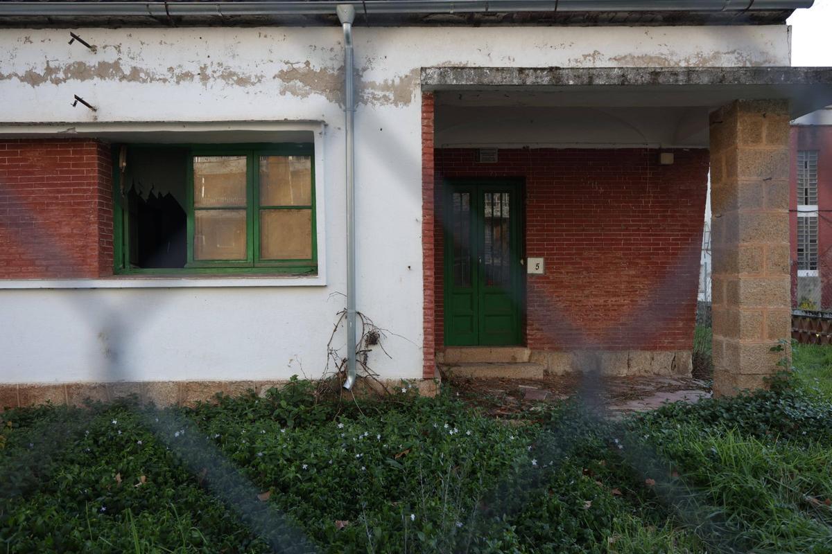 Una colonia felina en Cáceres