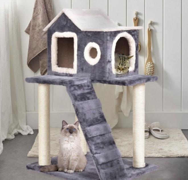 Casita con escalera para gatos